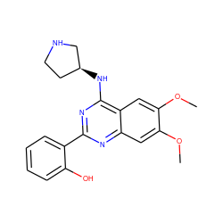COc1cc2nc(-c3ccccc3O)nc(N[C@H]3CCNC3)c2cc1OC ZINC000059285638