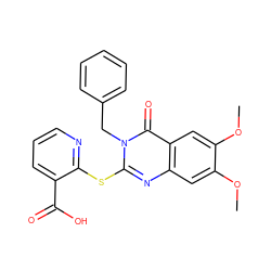 COc1cc2nc(Sc3ncccc3C(=O)O)n(Cc3ccccc3)c(=O)c2cc1OC ZINC000096258064