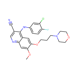 COc1cc2ncc(C#N)c(Nc3ccc(F)c(Cl)c3)c2cc1OCCCN1CCOCC1 ZINC000026732477