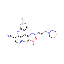 COc1cc2ncc(C#N)c(Nc3cccc(Br)c3)c2cc1NC(=O)/C=C/CN1CCOCC1 ZINC000013492809