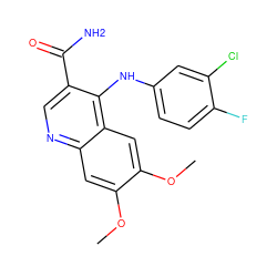 COc1cc2ncc(C(N)=O)c(Nc3ccc(F)c(Cl)c3)c2cc1OC ZINC000038464830