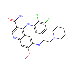 COc1cc2ncc(C(N)=O)c(Nc3cccc(Cl)c3Cl)c2cc1NCCN1CCCCC1 ZINC000040409610