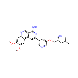 COc1cc2ncc3c(N)nc(-c4cncc(OC[C@H](N)CC(C)C)c4)cc3c2cc1OC ZINC000049068716