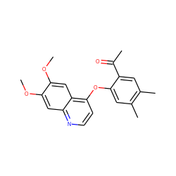 COc1cc2nccc(Oc3cc(C)c(C)cc3C(C)=O)c2cc1OC ZINC000040425439