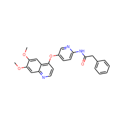 COc1cc2nccc(Oc3ccc(NC(=O)Cc4ccccc4)nc3)c2cc1OC ZINC000040393337