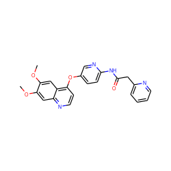 COc1cc2nccc(Oc3ccc(NC(=O)Cc4ccccn4)nc3)c2cc1OC ZINC000040873060