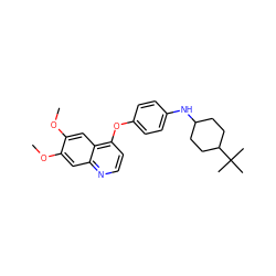 COc1cc2nccc(Oc3ccc(NC4CCC(C(C)(C)C)CC4)cc3)c2cc1OC ZINC000027989907