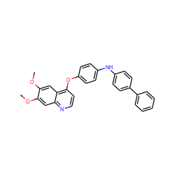 COc1cc2nccc(Oc3ccc(Nc4ccc(-c5ccccc5)cc4)cc3)c2cc1OC ZINC000027996000