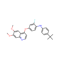 COc1cc2nccc(Oc3ccc(Nc4ccc(C(C)(C)C)cc4)c(F)c3)c2cc1OC ZINC000027982142