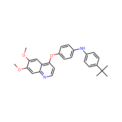 COc1cc2nccc(Oc3ccc(Nc4ccc(C(C)(C)C)cc4)cc3)c2cc1OC ZINC000028004400