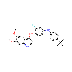 COc1cc2nccc(Oc3ccc(Nc4ccc(C(C)(C)C)cc4)cc3F)c2cc1OC ZINC000027985937