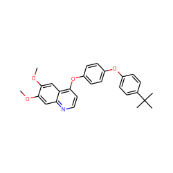 COc1cc2nccc(Oc3ccc(Oc4ccc(C(C)(C)C)cc4)cc3)c2cc1OC ZINC000028003951