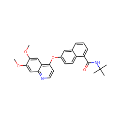 COc1cc2nccc(Oc3ccc4c(C(=O)NC(C)(C)C)cccc4c3)c2cc1OC ZINC000029133963