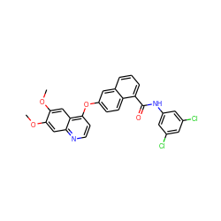 COc1cc2nccc(Oc3ccc4c(C(=O)Nc5cc(Cl)cc(Cl)c5)cccc4c3)c2cc1OC ZINC000029134185