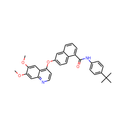 COc1cc2nccc(Oc3ccc4c(C(=O)Nc5ccc(C(C)(C)C)cc5)cccc4c3)c2cc1OC ZINC000029134231