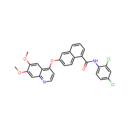 COc1cc2nccc(Oc3ccc4c(C(=O)Nc5ccc(Cl)cc5Cl)cccc4c3)c2cc1OC ZINC000029134227