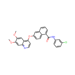 COc1cc2nccc(Oc3ccc4c(C(=O)Nc5cccc(Cl)c5)cccc4c3)c2cc1OC ZINC000029134266