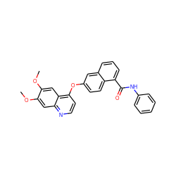 COc1cc2nccc(Oc3ccc4c(C(=O)Nc5ccccc5)cccc4c3)c2cc1OC ZINC000029134368