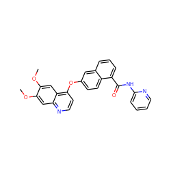 COc1cc2nccc(Oc3ccc4c(C(=O)Nc5ccccn5)cccc4c3)c2cc1OC ZINC000029134183