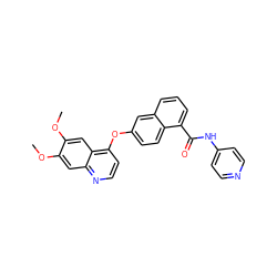 COc1cc2nccc(Oc3ccc4c(C(=O)Nc5ccncc5)cccc4c3)c2cc1OC ZINC000029134096