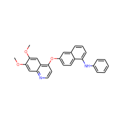 COc1cc2nccc(Oc3ccc4c(Nc5ccccc5)cccc4c3)c2cc1OC ZINC000040867060