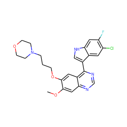 COc1cc2ncnc(-c3c[nH]c4cc(F)c(Cl)cc34)c2cc1OCCCN1CCOCC1 ZINC000040899611