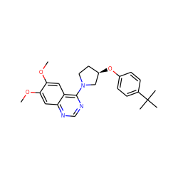 COc1cc2ncnc(N3CC[C@@H](Oc4ccc(C(C)(C)C)cc4)C3)c2cc1OC ZINC000014956436