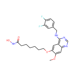 COc1cc2ncnc(NCc3ccc(F)c(F)c3)c2cc1OCCCCCCC(=O)NO ZINC000114298354