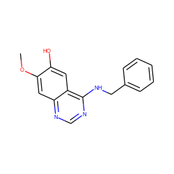 COc1cc2ncnc(NCc3ccccc3)c2cc1O ZINC000003815365