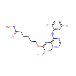 COc1cc2ncnc(Nc3cc(Cl)ccc3Cl)c2cc1OCCCCCC(=O)NO ZINC000473153990