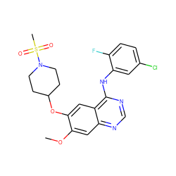 COc1cc2ncnc(Nc3cc(Cl)ccc3F)c2cc1OC1CCN(S(C)(=O)=O)CC1 ZINC000034800080