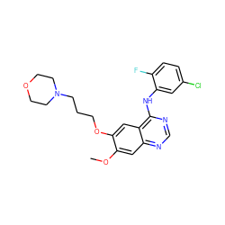 COc1cc2ncnc(Nc3cc(Cl)ccc3F)c2cc1OCCCN1CCOCC1 ZINC000034800128