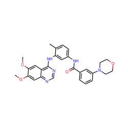 COc1cc2ncnc(Nc3cc(NC(=O)c4cccc(N5CCOCC5)c4)ccc3C)c2cc1OC ZINC000028386372