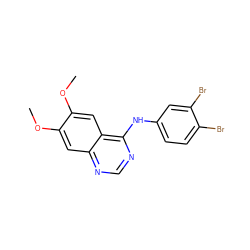 COc1cc2ncnc(Nc3ccc(Br)c(Br)c3)c2cc1OC ZINC000003815032