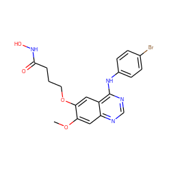 COc1cc2ncnc(Nc3ccc(Br)cc3)c2cc1OCCCC(=O)NO ZINC000653705931