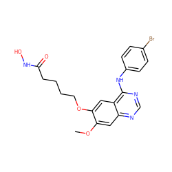 COc1cc2ncnc(Nc3ccc(Br)cc3)c2cc1OCCCCC(=O)NO ZINC000653707391