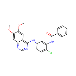 COc1cc2ncnc(Nc3ccc(Cl)c(NC(=O)c4ccccc4)c3)c2cc1OC ZINC000028392507