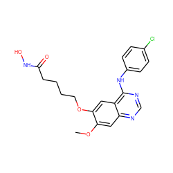 COc1cc2ncnc(Nc3ccc(Cl)cc3)c2cc1OCCCCC(=O)NO ZINC000653701071