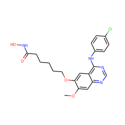 COc1cc2ncnc(Nc3ccc(Cl)cc3)c2cc1OCCCCCC(=O)NO ZINC000653701080