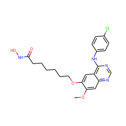 COc1cc2ncnc(Nc3ccc(Cl)cc3)c2cc1OCCCCCCC(=O)NO ZINC000653703243