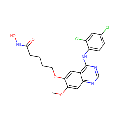 COc1cc2ncnc(Nc3ccc(Cl)cc3Cl)c2cc1OCCCCC(=O)NO ZINC000473153693