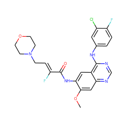 COc1cc2ncnc(Nc3ccc(F)c(Cl)c3)c2cc1NC(=O)/C(F)=C/CN1CCOCC1 ZINC000145219573