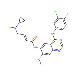 COc1cc2ncnc(Nc3ccc(F)c(Cl)c3)c2cc1NC(=O)/C=C/CN(C)C1CC1 ZINC000473120419