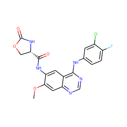 COc1cc2ncnc(Nc3ccc(F)c(Cl)c3)c2cc1NC(=O)[C@@H]1COC(=O)N1 ZINC000219788563