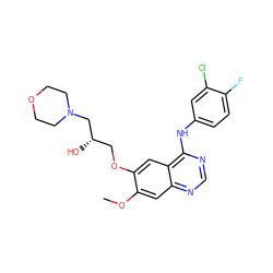 COc1cc2ncnc(Nc3ccc(F)c(Cl)c3)c2cc1OC[C@H](O)CN1CCOCC1 ZINC000029559580