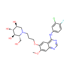 COc1cc2ncnc(Nc3ccc(F)c(Cl)c3)c2cc1OCCCN1C[C@H](O)[C@@H](O)[C@H](O)[C@H]1CO ZINC001772582050