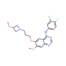 COc1cc2ncnc(Nc3ccc(F)c(Cl)c3)c2cc1OCCCN1CC(OC)C1 ZINC000096935089