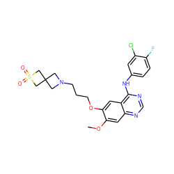 COc1cc2ncnc(Nc3ccc(F)c(Cl)c3)c2cc1OCCCN1CC2(C1)CS(=O)(=O)C2 ZINC000096935087