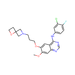 COc1cc2ncnc(Nc3ccc(F)c(Cl)c3)c2cc1OCCCN1CC2(CCO2)C1 ZINC000096935097