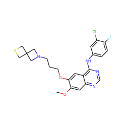 COc1cc2ncnc(Nc3ccc(F)c(Cl)c3)c2cc1OCCCN1CC2(CSC2)C1 ZINC000096937347